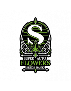 Super Autoflowers| Best Canadian cannabis seeds | Buy autoflower seeds