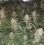 Critical Magic Cannabis Seeds Feminized