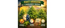 What Are Fast Version Cannabis Seeds? Fast-Flowering Photoperiod Guide