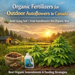 Organic Fertilizers for Outdoor Autoflowers (Canada) | Super Autoflowers