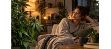 Indica Effects: What Does Indica Do to You?